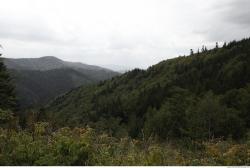 Photo of Mixed Textures